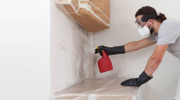 Professional Attic Mold Remediation technician working in Islip, NY